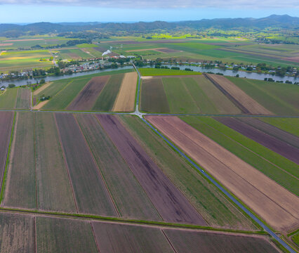 Aerial view of Cane farms between Condong and Murwillumbah