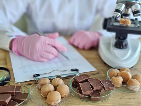 Examining chocolate samples in a laboratory with a microscope and written notes