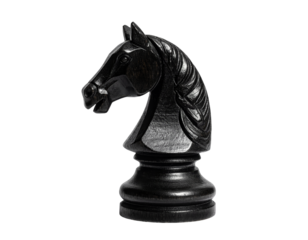 black wooden knight chess piece