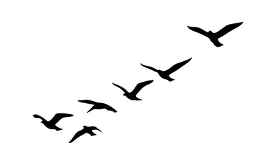 Dynamic silhouettes of a majestic flock of birds soaring gracefully in a V-formation across a vast, bright sky, symbolizing freedom, migration, and collective unity within the natural world