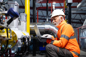 Senior engineer working on laptop at industrial plant