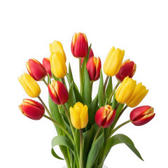 Vibrant bouquet of red and yellow tulips isolated on transparent background