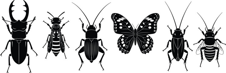 Set of black insect silhouettes including stag beetle, wasp, cricket, butterfly, cockroach and honey bee isolated on white background for nature vector design © Shafik Creatives