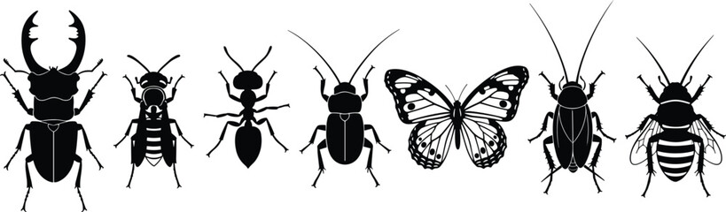 Set of black insect silhouettes including stag beetle, wasp, ant, cricket, butterfly, cockroach and honey bee isolated on white background for nature design © Shafik Creatives