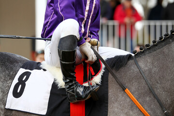 Turf en el hip&oacute;dromo con jockey y rienda en silla de caballo de carreras