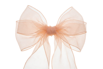 Translucent peach organza ribbon bow isolated