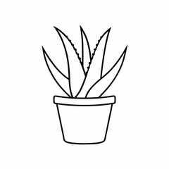 Aloe Vera Potted Plant Vector Illustration