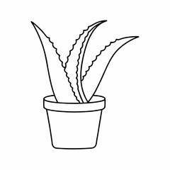 Aloe Vera Potted Plant Vector Illustration