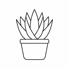 Aloe Vera Potted Plant Vector Illustration