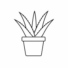 Aloe Vera Potted Plant Vector Illustration