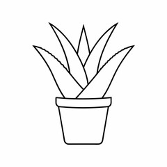 Aloe Vera Potted Plant Vector Illustration