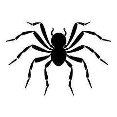Detailed black silhouette of a spider with hairy legs. Pictogram of nature, danger, or Halloween. Vector illustration.