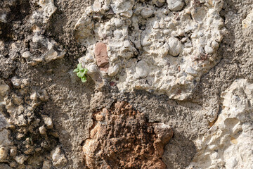The background natural wall with multi-colored blotches and moss