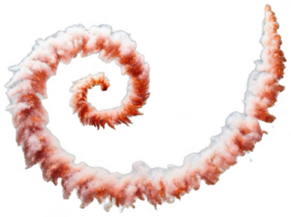 Smoke Swirl png Fire Cloud cutout Vapor Trail png Ash Plume cutout Steam Curl png Ember Wisps cutout Smoke Effect png Dust Cloud cutout Fog Bank png