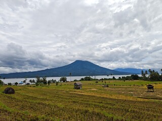 Fototapeta premium A Peaceful Afternoon at Lake Ranau, South Sumatra