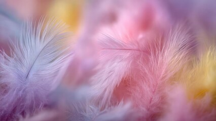 Close-up of fluffy pastel-colored feathers in pink, purple, blue and yellow. Concept Pastel feather close-up, Fluffy pastel colors, Pink purple blue yellow feathers, Soft texture