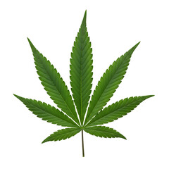 Cannabis leaf isolated on transparent background