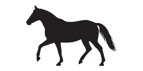 Silhouette of a horse running with its mane and tail flowing in the wind against a white background view,Morgan horse silhouette vector illustration on white background, elegant equine profile artwork © SujetaRani