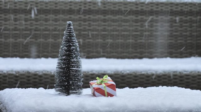 Small frosted pine tree and a red striped gift box sitting on a snow-covered garden bench during a winter snowfall.