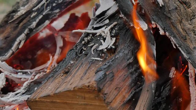 Burning wood on a fire