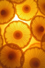 Close-up of backlit pineapple slices showing intricate patterns and textures.