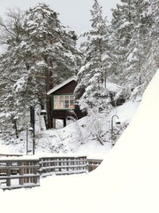 A cozy wooden cabin nestled among tall conifer trees by a seaside promenade in Nacka, Sweden
