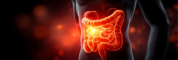 Abdominal pain concept, 3D x-ray illustration of stomach bowel inflammation with bowel, pain, abdominal, stomach, pain, ache, inflammation