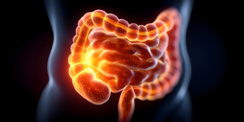 Abdominal pain concept, 3D x-ray illustration of stomach bowel inflammation with pain, bowel, abdominal, inflammation, stomach, pain, ache