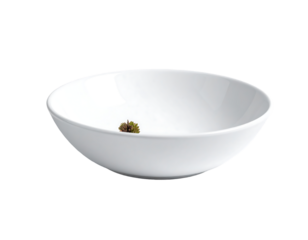 White bowl holds a small cluster of brown matter, centered, on dark backdrop