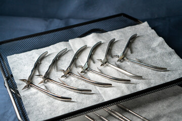 Sterile stainless steel nail care instruments on a medical tray. Close-up