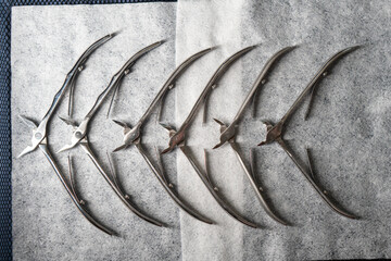 Sterile stainless steel nail care instruments on a medical tray. Close-up