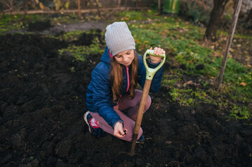 A beautiful teenage girl digs the soil with a shovel, black soil in the garden at the dacha.