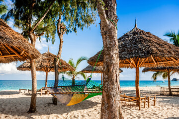 Hammock Between Palm Trees