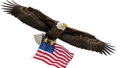Bald eagle with American flag isolated on transparent background