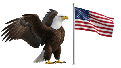 Bald Eagle with American Flag isolated on transparent background