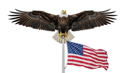 Bald Eagle with US Flag isolated on transparent background
