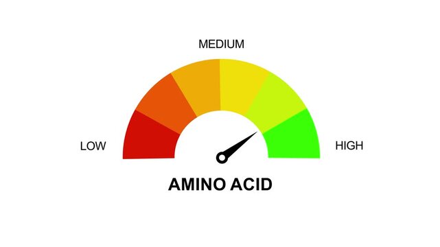Gradient scale Amino acids level measuring device icon. Sign tachometer, speedometer, indicators. Infographic gauge element.Animated Amino Acid Level Gauge. Motion graphics of alert meter 4k