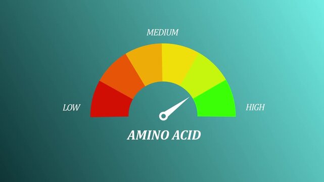 Gradient scale Amino acids level measuring device icon. Sign tachometer, speedometer, indicators. Infographic gauge element.Animated Amino Acid Level Gauge. Motion graphics of alert meter 4k