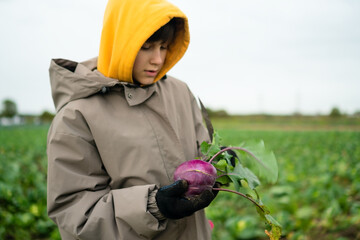 Smiling boy picking ripe kohlrabi in farm field. Removing leaves with knife, seasonal fresh vegetables, homegrown produce, outdoor work, sustainable farming, and pride in cultivated crops.