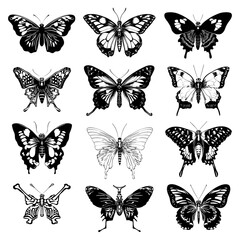 Set of 12 black and white butterfly silhouette illustrations isolated PNG with Transparent Background
