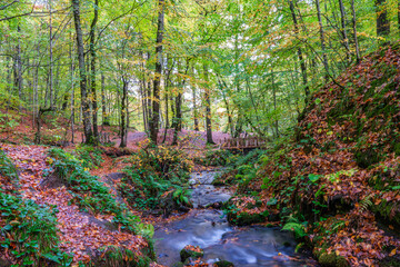 Autumn scenery in Yedig&ouml;ller, reflections and the waltz of colors in nature