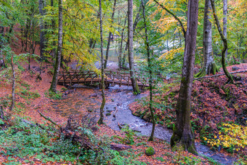 Autumn scenery in Yedig&ouml;ller, reflections and the waltz of colors in nature