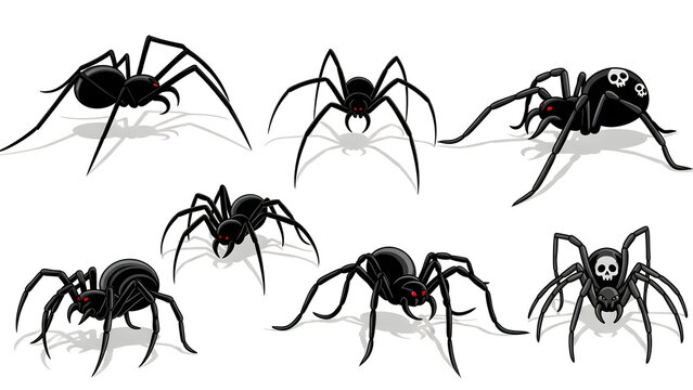 Black Spiders in Various Positions Isolated.