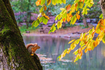 Autumn scenery in Yedig&ouml;ller, reflections and the waltz of colors in nature