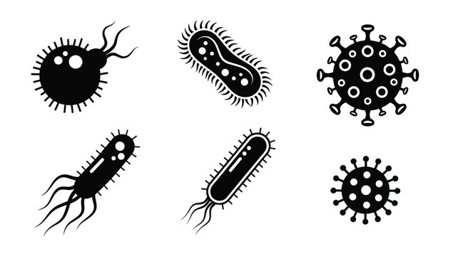 Black and white illustrations of various bacteria and viruses a simple silhouette