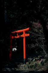 赤色の鳥居がある風景