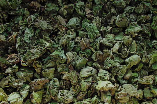 A close-up of the clumps of dried fig leaves. Studio shot.