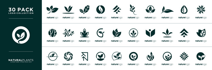 Collection green leaf. Elements design for natural, eco, bio, salon, healthy yoga and etc.