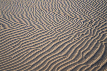 Obraz premium Sand structures in the dunes of the North Sea island of Norderney. Wind erosion creates fine waves in the dry sand of the World Heritage Wadden Sea National Park. Monochrome natural background.