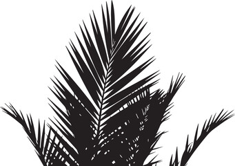 Palm frond silhouette